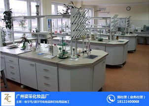 广州姿采化妆品厂企业策划 本土品牌崛起的战略蓝图